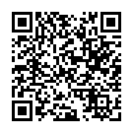 QR code for 8176SS