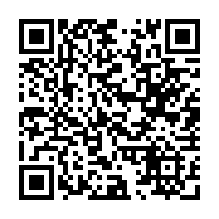 QR code for 8176VI