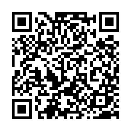 QR code for 8655MS