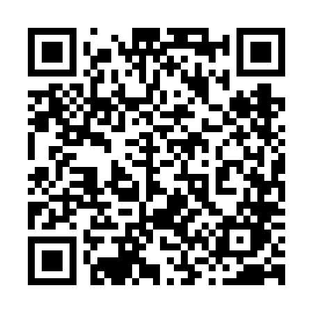 QR code for 8656LO
