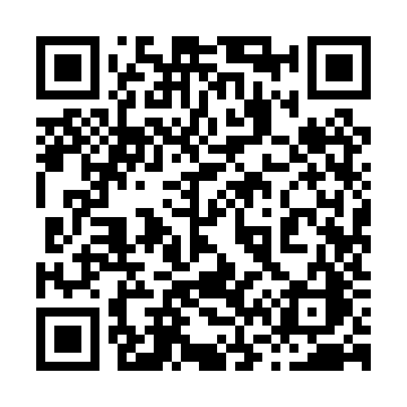 QR code for 8690ZC