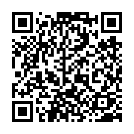 QR code for 8696SP