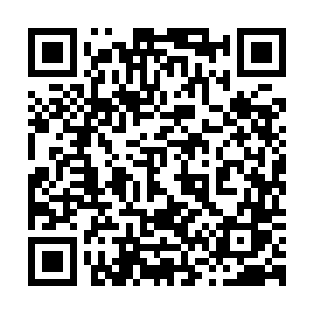 QR code for 8699DS