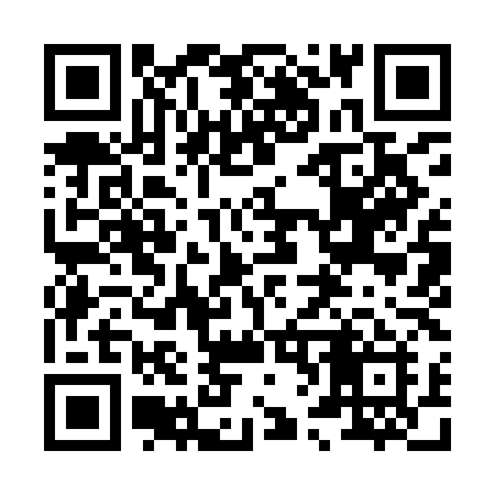 QR code for 8699LI