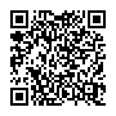 QR code for 8699PT