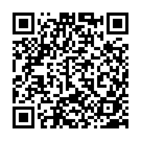 QR code for 8699QJ