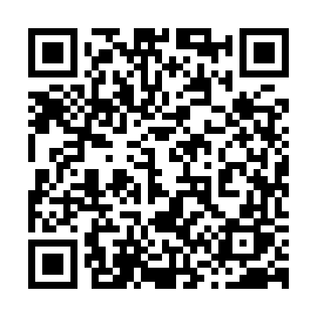 QR code for 8699VP