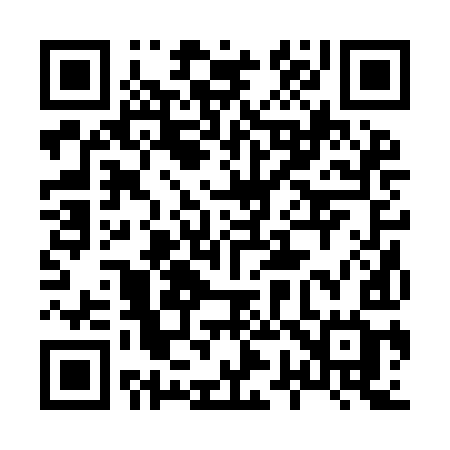 QR code for 8729IG