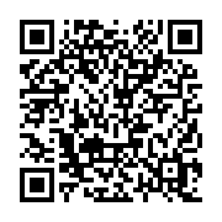 QR code for 8729QL