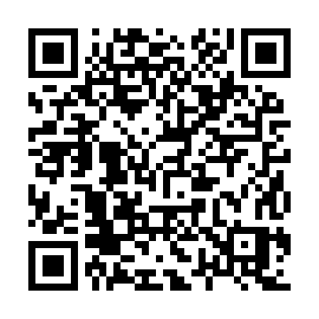 QR code for 8729XS