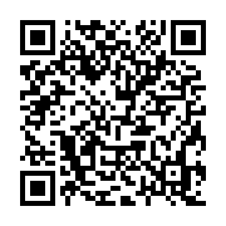 QR code for 8738BN