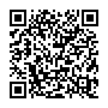 QR code for 8738FI