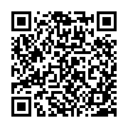 QR code for 8738HL