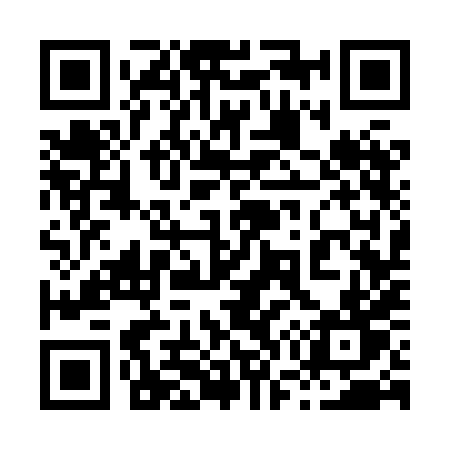 QR code for 8738HT