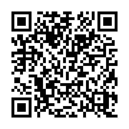 QR code for 8738SX