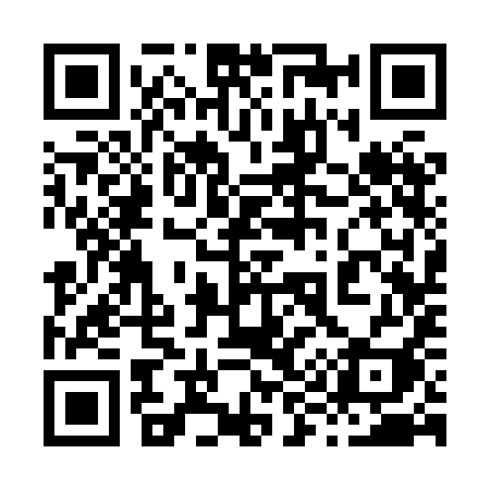 QR code for 8938II