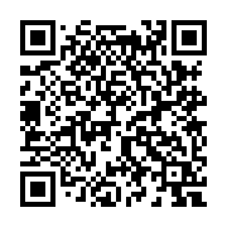 QR code for 8938IR