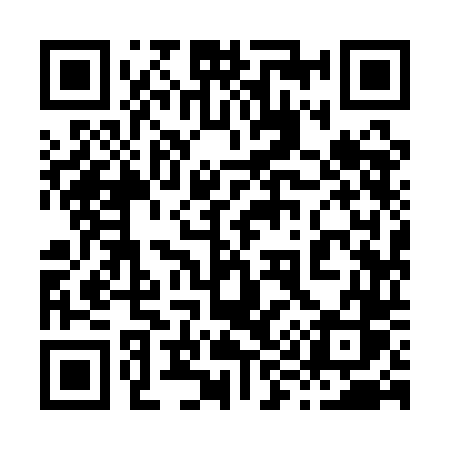 QR code for 8991DS