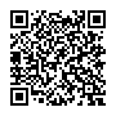 QR code for 8995DI