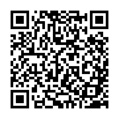 QR code for 9011LI