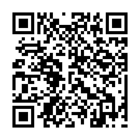 QR code for 9029FI