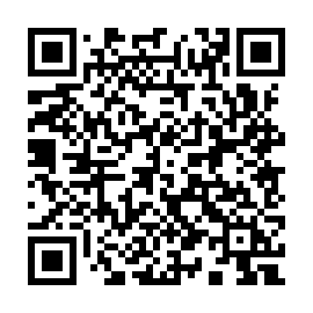 QR code for 9109ZH