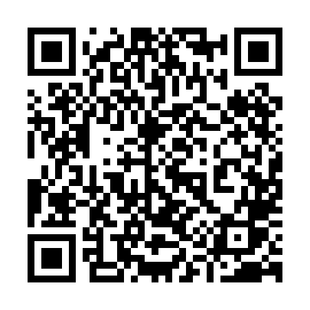 QR code for 9110LS