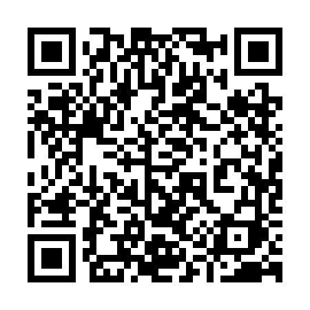 QR code for 9113FI