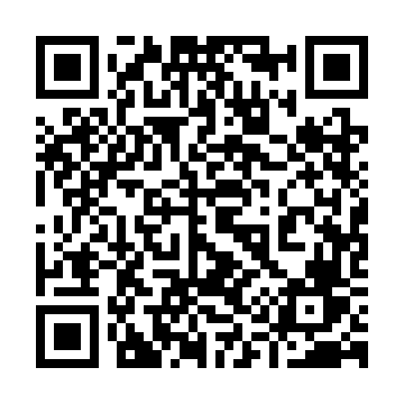 QR code for 9113FV