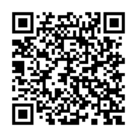 QR code for 9115LG