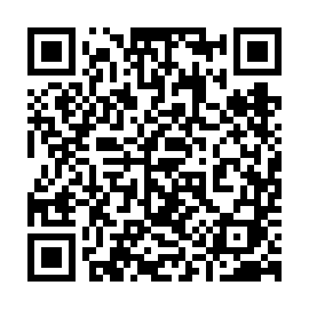 QR code for 9116DI