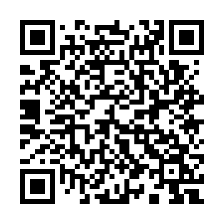 QR code for 9117VN