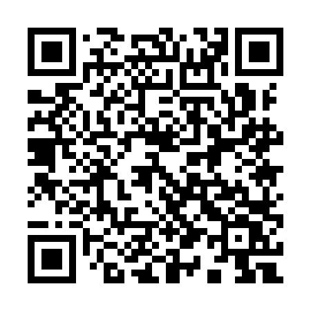 QR code for 9119LV