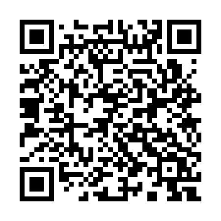QR code for 9133PV