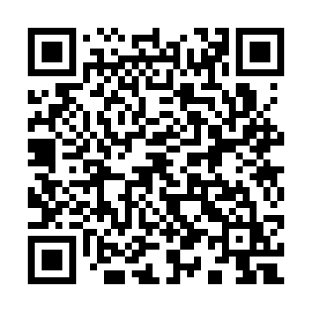 QR code for 9133SZ