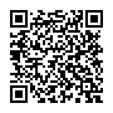 QR code for 9138QL