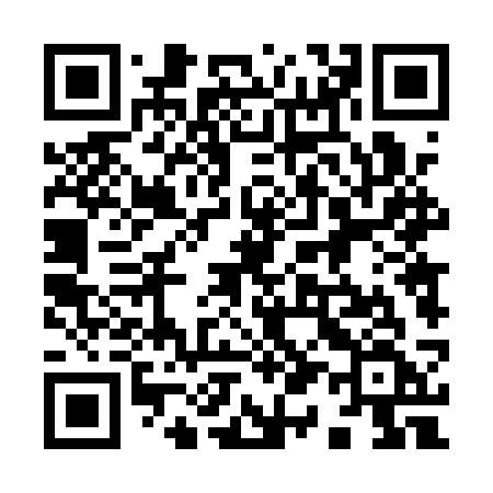 QR code for 9141SF