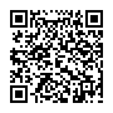 QR code for 9153NS