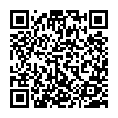 QR code for 9155DZ