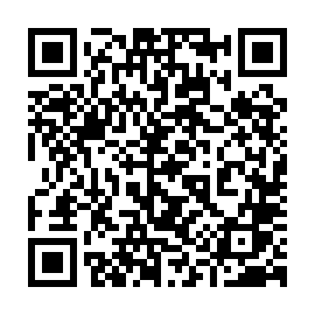 QR code for 9161LS