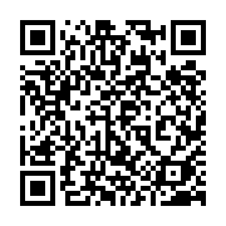QR code for 9165AI
