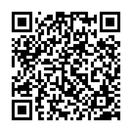 QR code for 9171KV