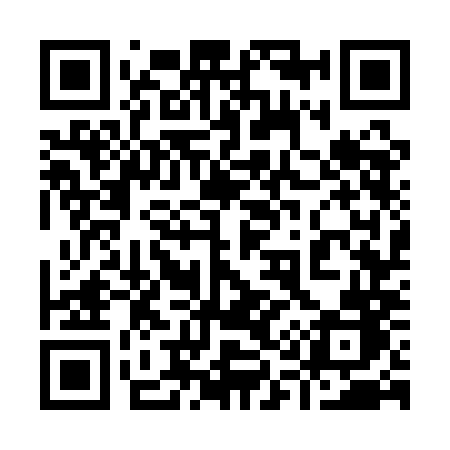 QR code for 9171MB