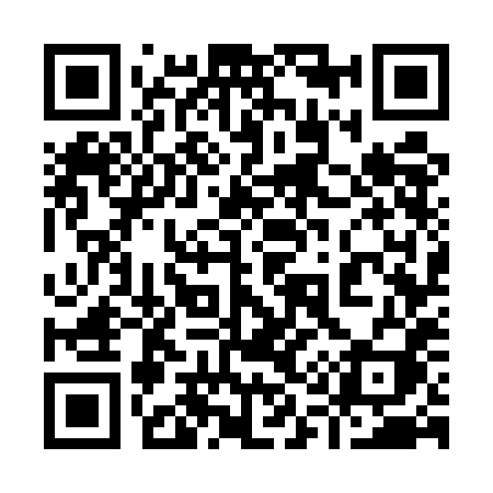 QR code for 9175HI