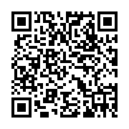 QR code for 9191MP