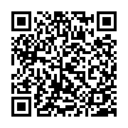 QR code for 9195PU
