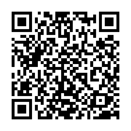 QR code for 9195ZY