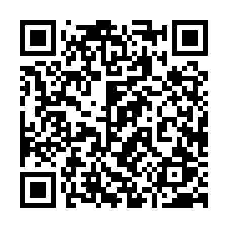 QR code for 9501RR