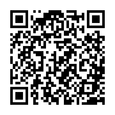 QR code for 9503LK