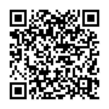 QR code for 9509EU